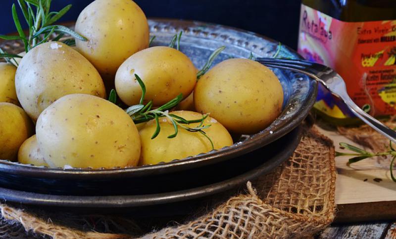 Patates Nasl Halanr