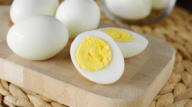 Haşlanmış Yumurta Protein